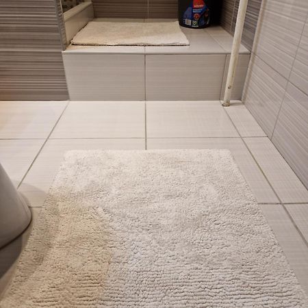 Erzsebet Apartman, Free Parking 布达佩斯 外观 照片