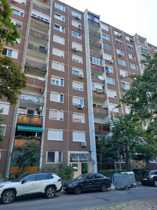 Erzsebet Apartman, Free Parking 布达佩斯 外观 照片